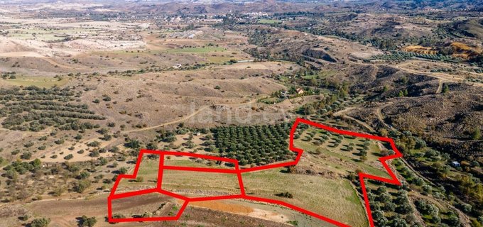 Agricultural field for sale in Nicosia