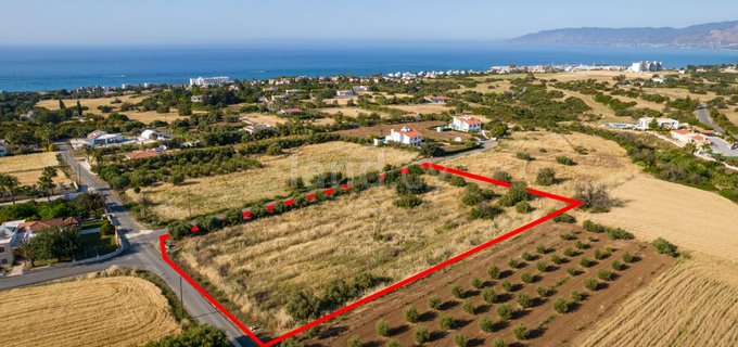 Сельскохозяйственное поле на продажу в Пафос