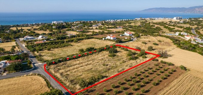 Agricultural field for sale in Paphos