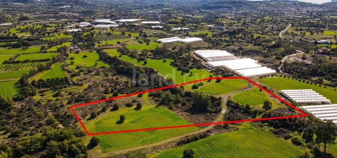 Agricultural field for sale in Limassol