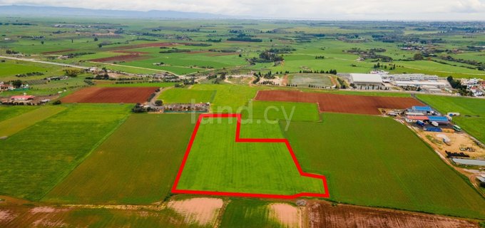 Residential field for sale in Avgorou