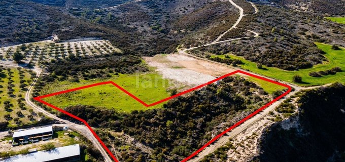 Agricultural field for sale in Larnaca