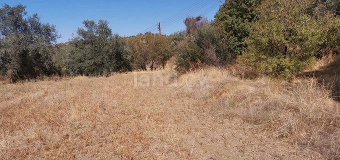 Residential field for sale in Nicosia