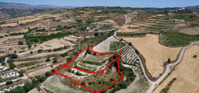 Agricultural field for sale in Paphos