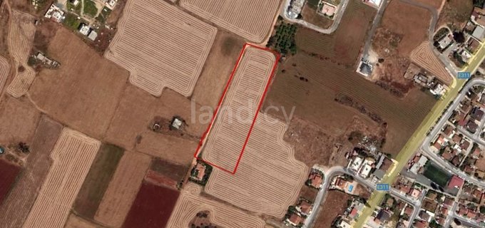 Residential field for sale in Avgorou