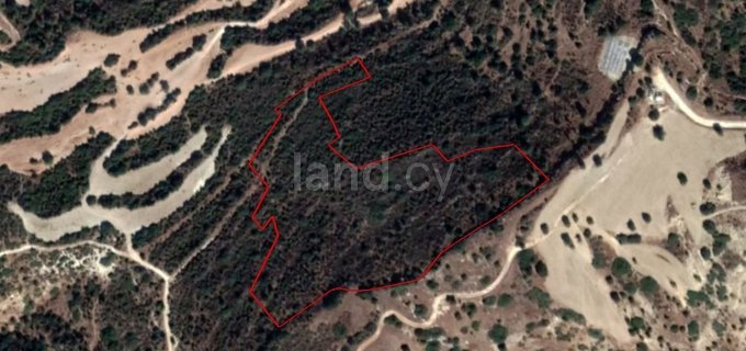 Agricultural field for sale in Larnaca