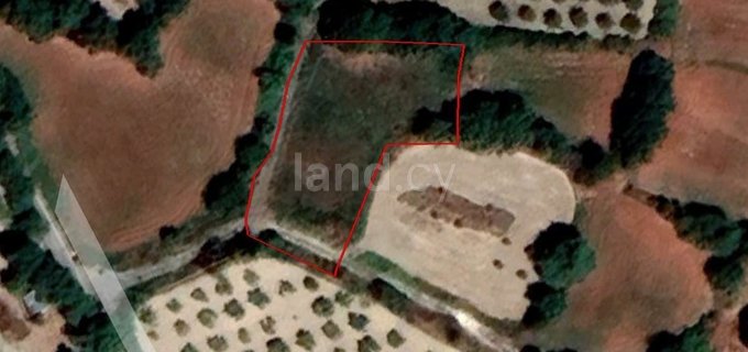 Campo comercial a la venta en Paphos