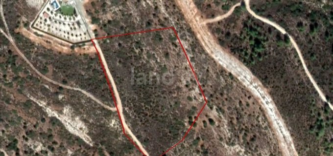 Agricultural field for sale in Larnaca