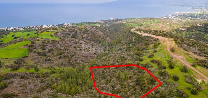 Agricultural field for sale in Paphos