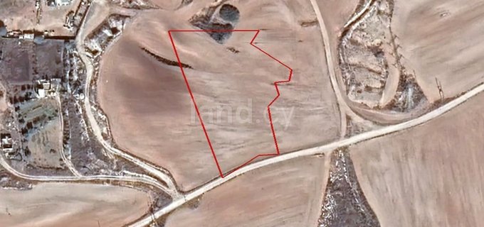 Agricultural field for sale in Nicosia