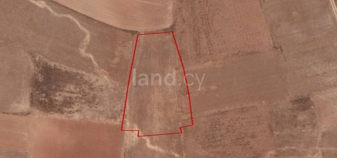 Agricultural field for sale in Nicosia