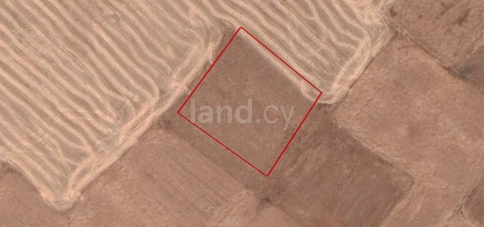 Agricultural field for sale in Nicosia