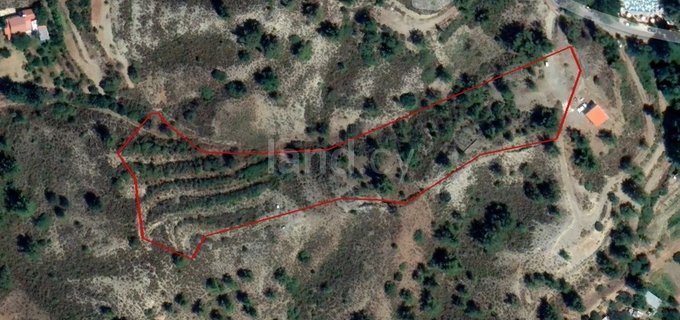 Agricultural field for sale in Limassol