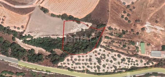 Agricultural field for sale in Paphos