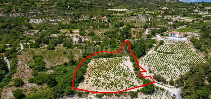 Residential field for sale in Limassol