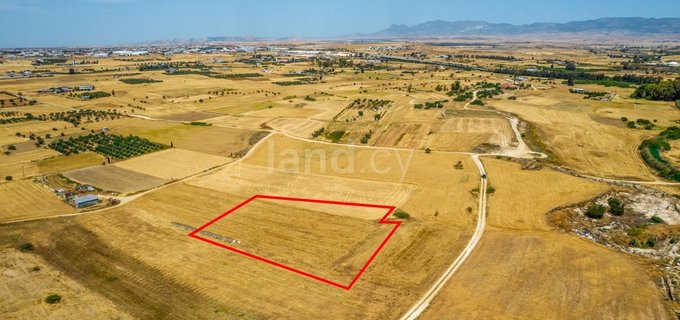 Agricultural field for sale in Nicosia