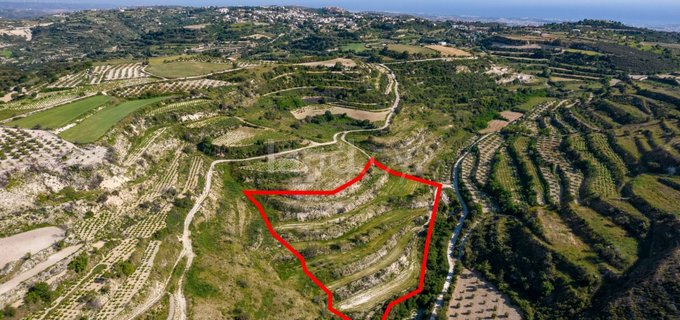 Agricultural field for sale in Paphos