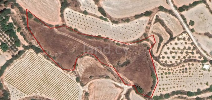 Agricultural field for sale in Paphos