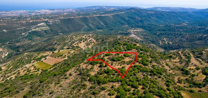 Landwirtschaftliches Baugebiet in Limassol zu verkaufen