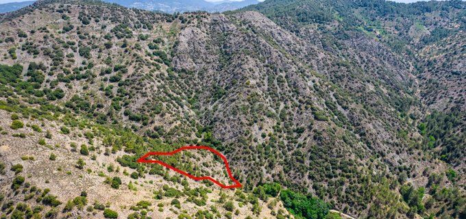 Landwirtschaftliches Baugebiet in Limassol zu verkaufen