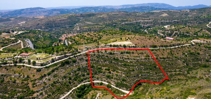 Agricultural field for sale in Limassol