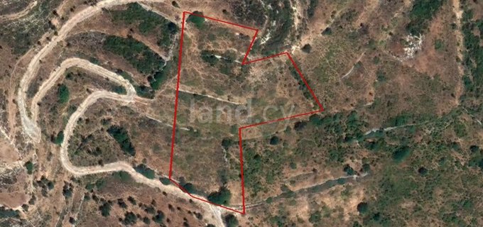 Agricultural field for sale in Limassol