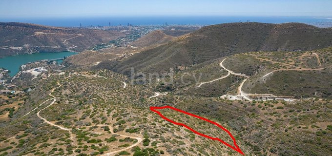 Agricultural field for sale in Limassol