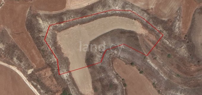 Agricultural field for sale in Nicosia