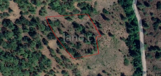 Agricultural field for sale in Limassol