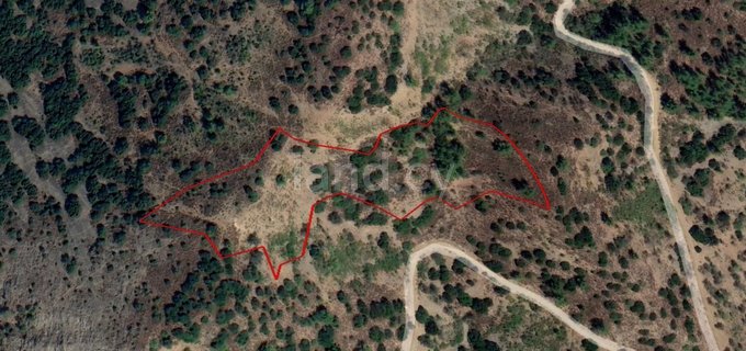 Agricultural field for sale in Limassol