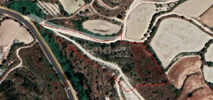 Agricultural field for sale in Paphos