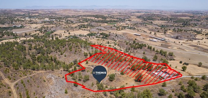 Residential field for sale in Nicosia