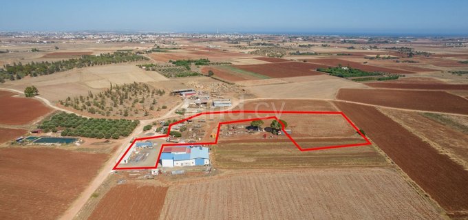 Campo agrícola a la venta en Avgorou