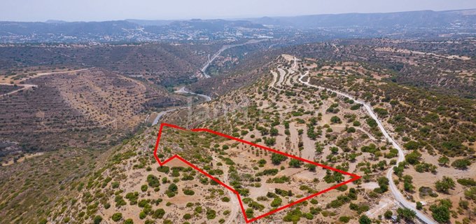 Agricultural field for sale in Limassol