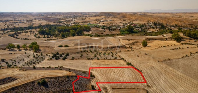 Agricultural field for sale in Nicosia