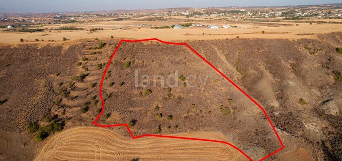 Agricultural field for sale in Nicosia