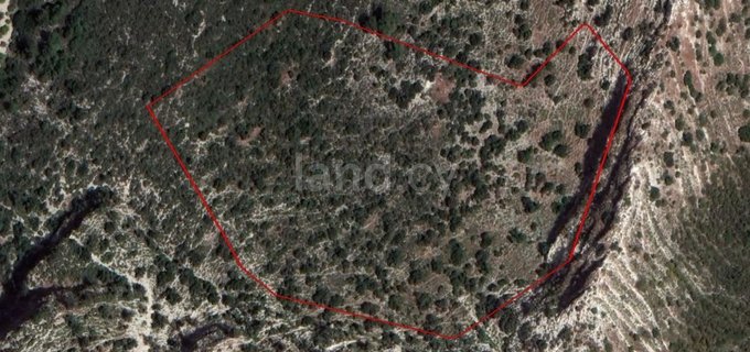 Agricultural field for sale in Limassol