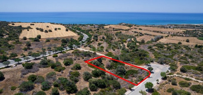 Landwirtschaftliches Grundstück in Paphos zu verkaufen