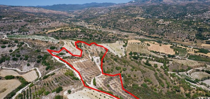 Agricultural field for sale in Paphos