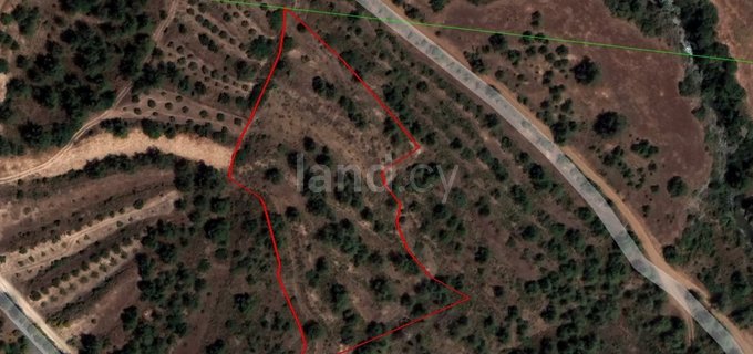 Agricultural field for sale in Nicosia