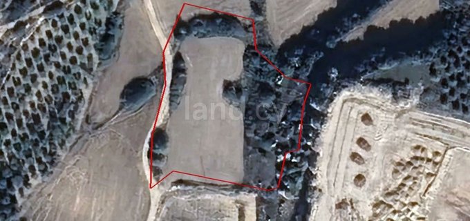 Agricultural field for sale in Limassol