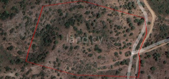 Agricultural field for sale in Limassol