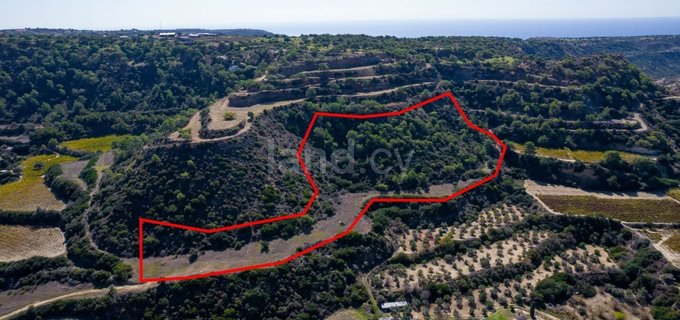 Agricultural field for sale in Limassol