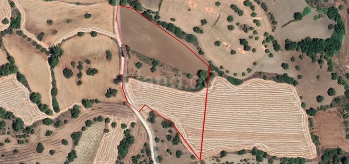 Agricultural field for sale in Paphos