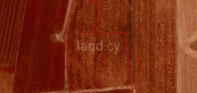 Agricultural field for sale in Achna