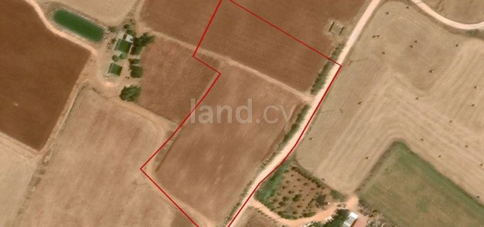 Agricultural field for sale in Avgorou