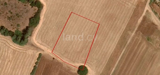 Landwirtschaftliches Baugebiet in Paphos zu verkaufen