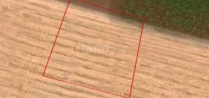 Agricultural field for sale in Paphos