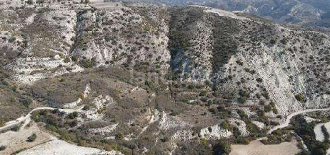 Agricultural field for sale in Paphos