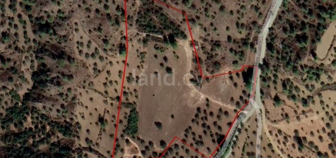 Agricultural field for sale in Nicosia